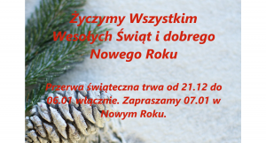 Przerwa Świąteczna w ABCENGLISH